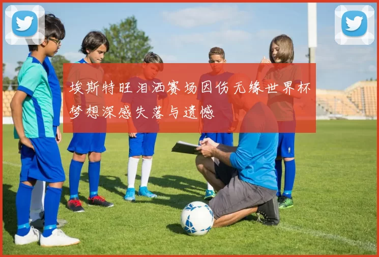 埃斯特旺泪洒赛场因伤无缘世界杯梦想深感失落与遗憾