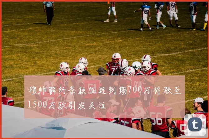 穆帅解约条款临近到期700万将涨至1500万欧引发关注